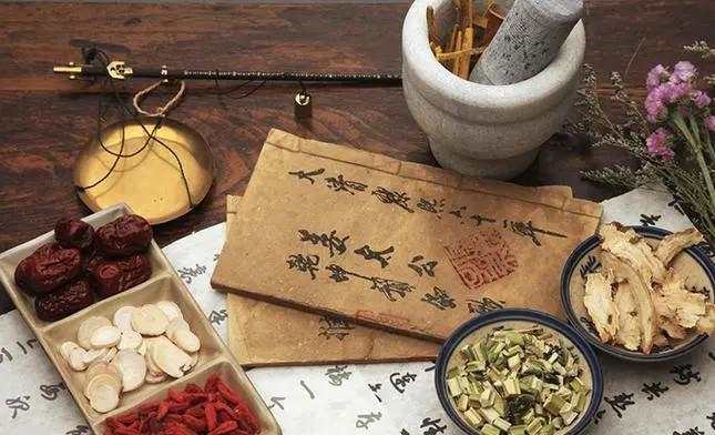 山根苁蓉的样子